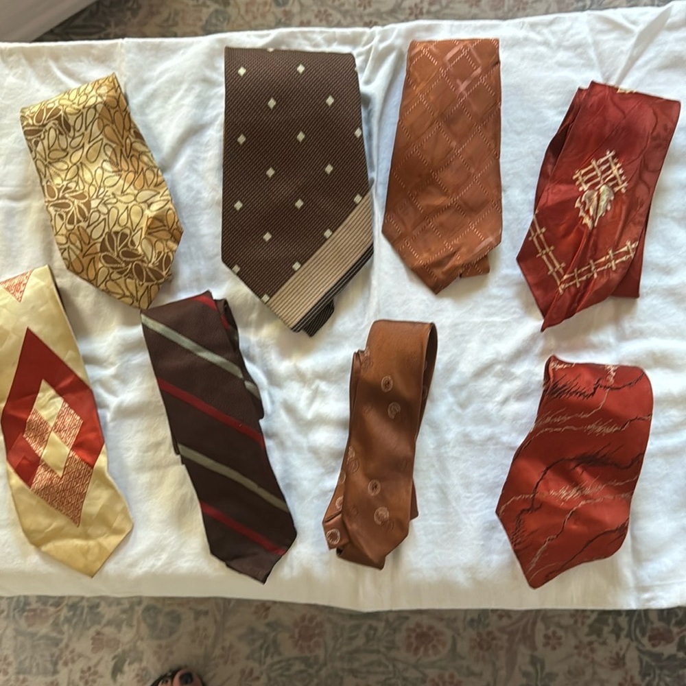 Bundle of 8 Fall Color Vintage Ties!